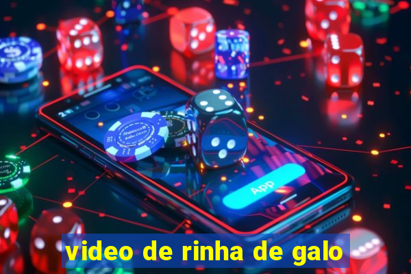 video de rinha de galo